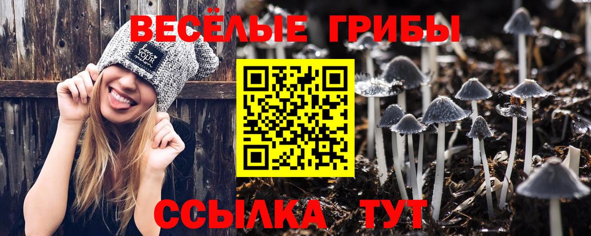 Псилоцибиновые грибы GOLDEN TEACHER  Вход с VPN  Чусовой  Галлюциногенные грибы Psilocybe 