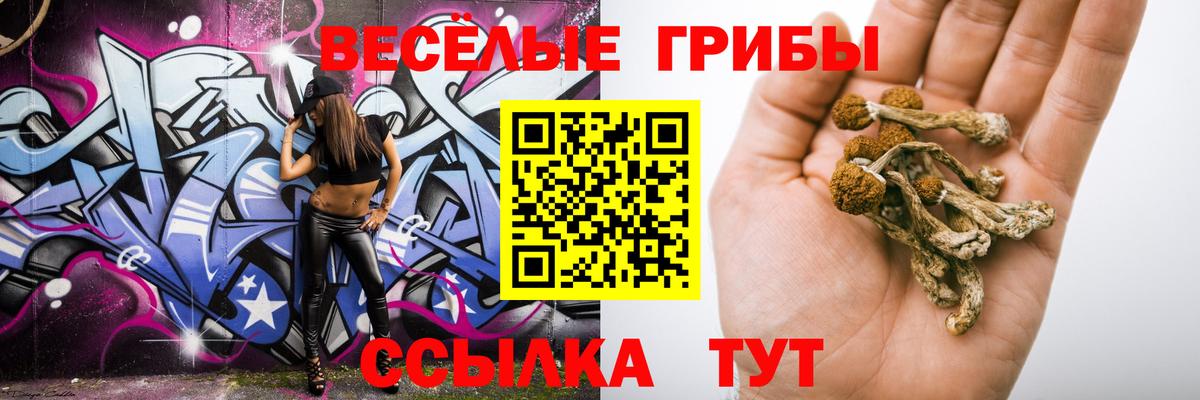Псилоцибиновые грибы Psilocybe Чусовой